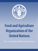 logo-FAO
