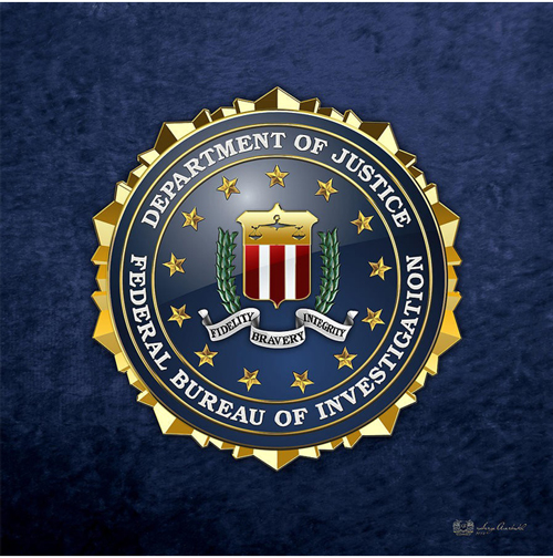 THE LARGE PLOT- AN FBI NOVEL
