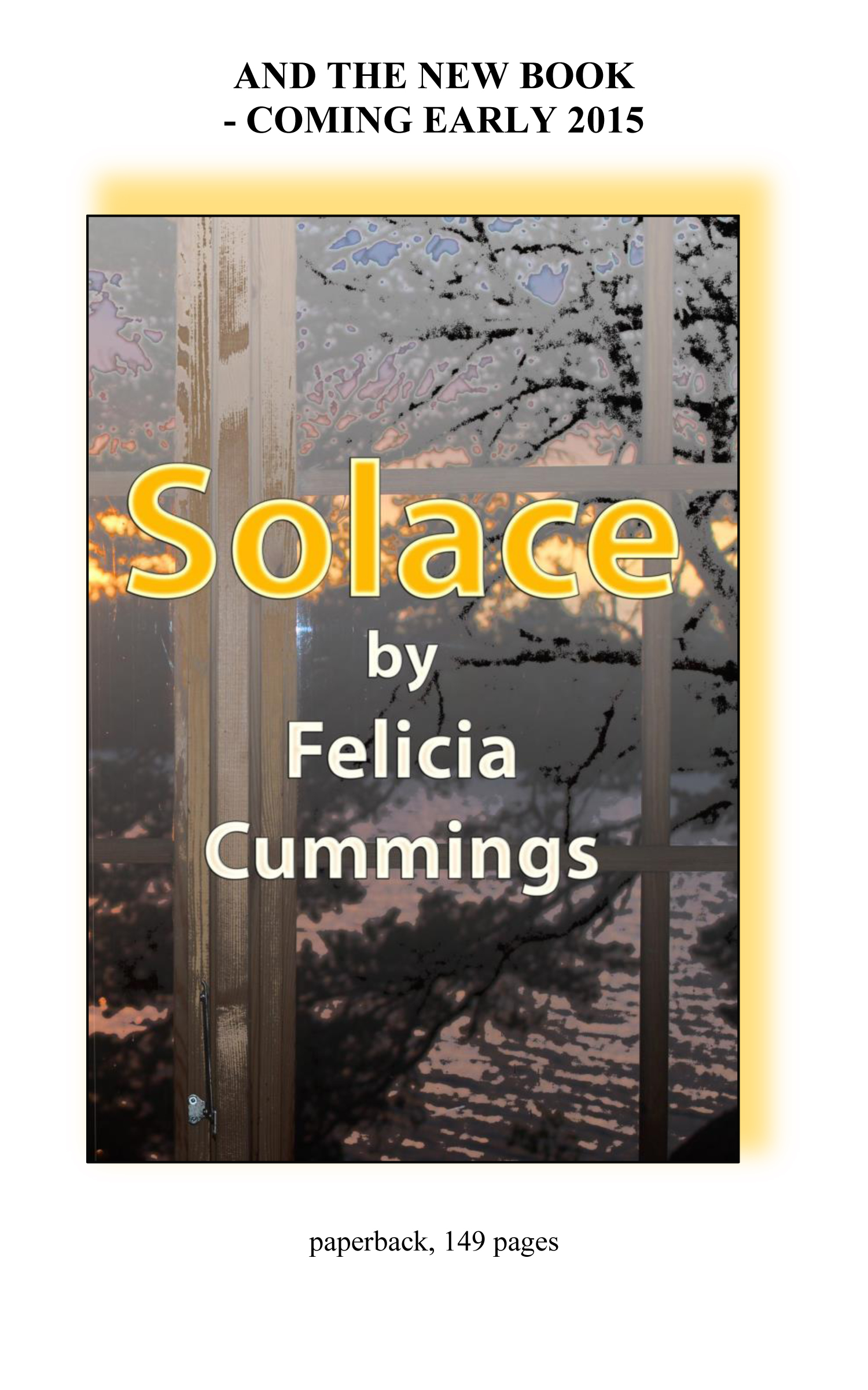 Solace - A New Book by Felicia Cummings