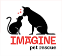 IMAGINE pet rescue donation campaign on CrowdRise: Rescue Rehabilitate Rehome. We try to save them ALL because they are ALL worth saving