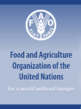 FAO: FAO Director-General: Climate change, poverty, hunger and inequality are interrelated