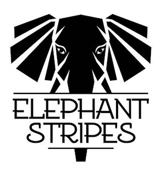Sick of choosing between style and function? These young ladies from Elephant Stripes are turning the luggage industry upside down