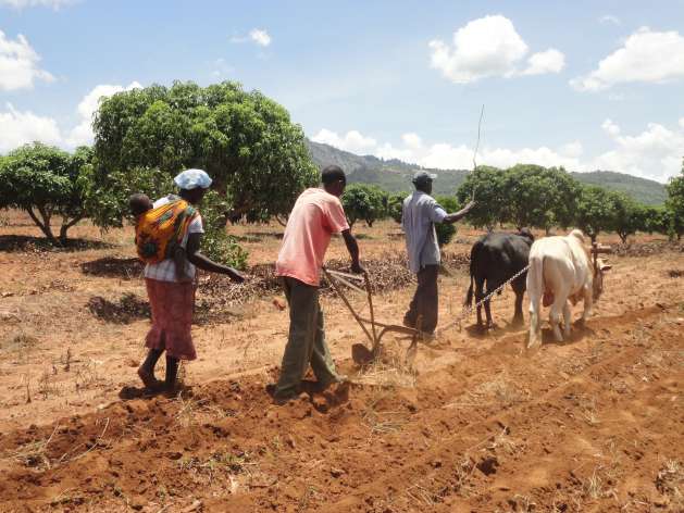 Kenya’s Potential in Agriculture Lies in Rural Transformation