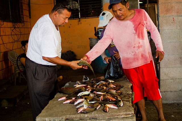 Fishing Villages Work for Food Security in El Salvador