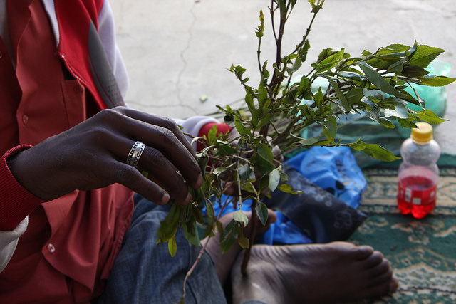 Khat in the Horn of Africa: A Scourge or Blessing?