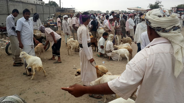 Building resilient rural livelihoods is key to helping Yemen