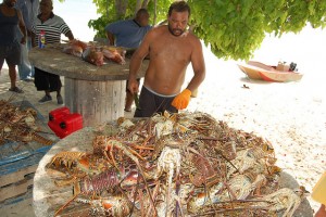 Caribbean Scientists Work to Limit Climate Impact on Marine Environment