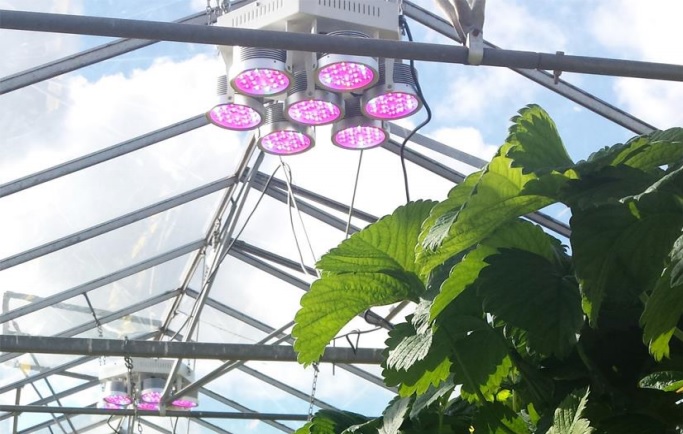 Horticulture LED Lighting Market Report Analysis Overview Upto 2023
