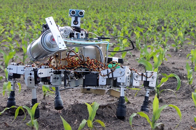 Ии в сельском хозяйстве. Роботы в сельском хозяйстве. Робототехника в сельском хозяйстве. Роботизированные системы в сельском хозяйстве. Роботы в растениеводстве.