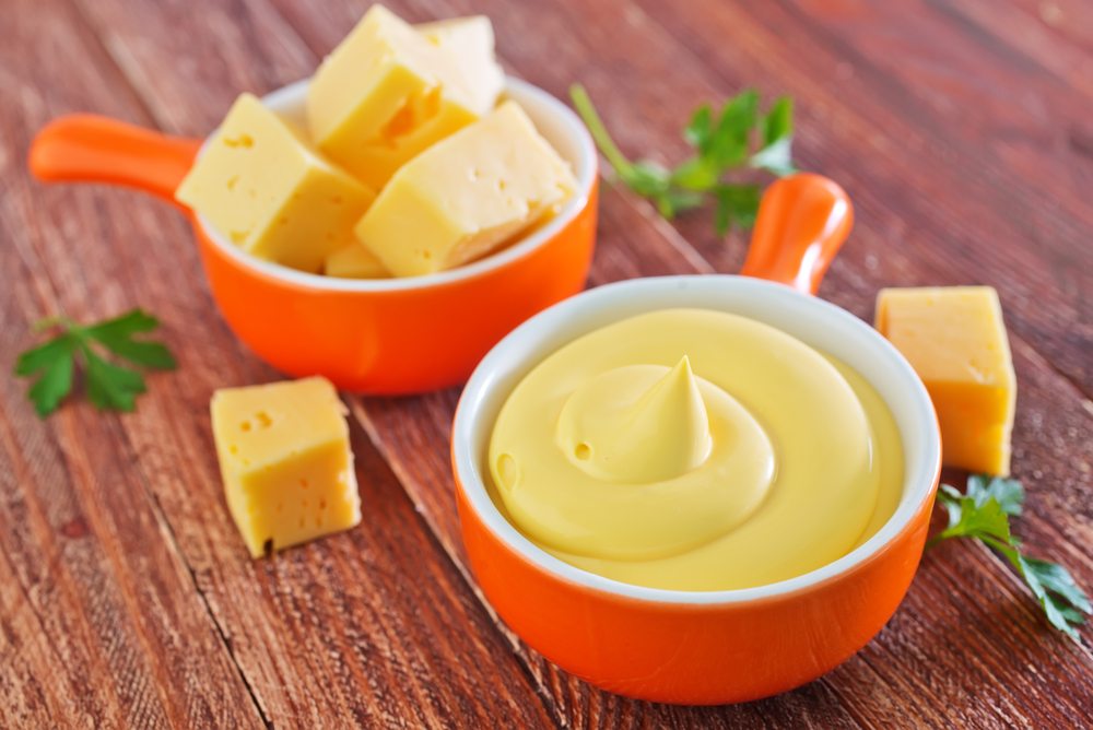 United States Canned Cheese Sauce Market Analysis and Forecasts 2017