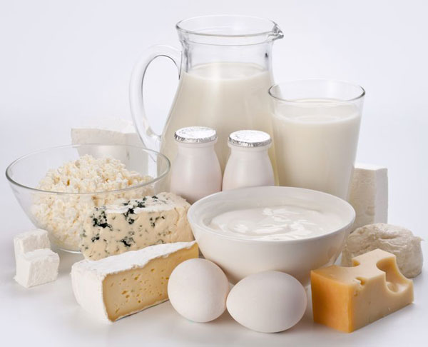 Organic Dairy Products Market Research Report 2016-2023 Size, Share, Growth, Trends & Forecast