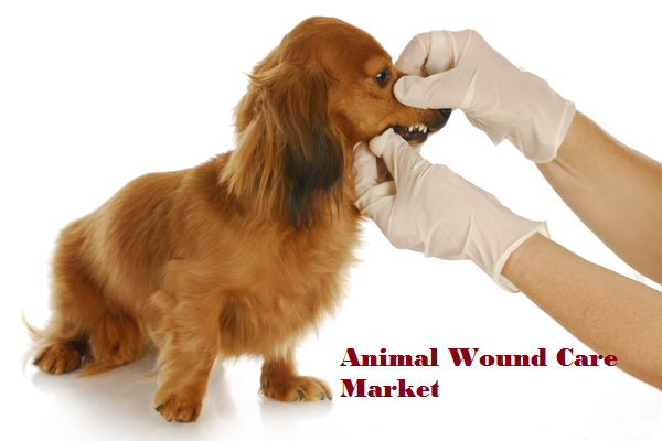 Global Animal Wound Care Market share, Trend, Competitor Strategy and Forecast to 2024