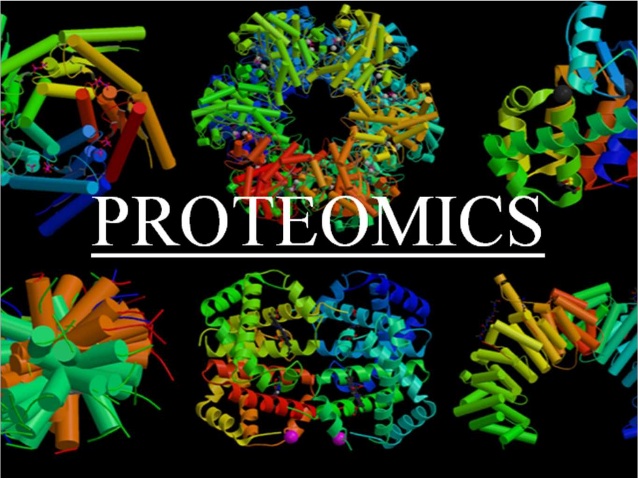 Proteomics Market: Global Industry Analysis, Size, Share, Growth, Trends, and Forecasts 2016–2024