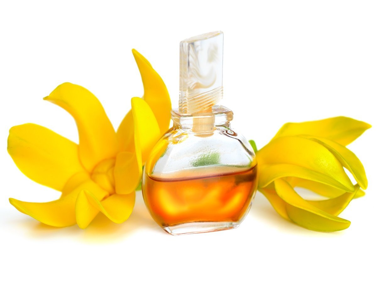 Global Ylang ylang Essential Oil Extract Detailed Analysis Report 2017-2022