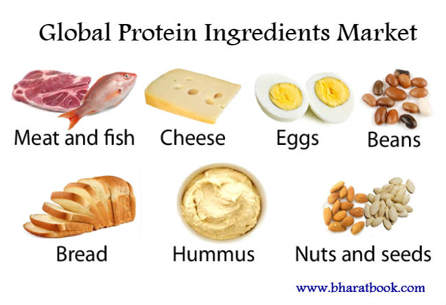 Global Protein Ingredients Market- Key Trends & Growth Forecasts 2022