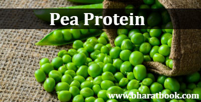 Global Pea Protein Market Research Report: Analysis by Sales, Price, Revenue and Share - 2022
