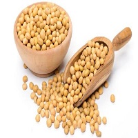 Global Soybean Market 2017 Share, Size, Forecast 2022