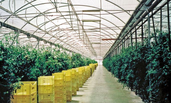 Global Commercial Greenhouse Market Research Report 2016