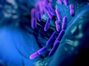 Microbiome Therapeutics Market Size & Share poised for growth by 2024