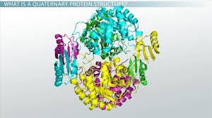 Remedial Proteins Market Size, Industry Growth, Trends and Analysis Research Report