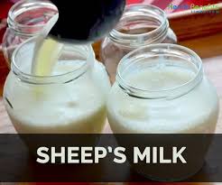 Sheep Milk Market:2018 Global Industry Manufacturers, Growth, Share, Size and Forecast 2025