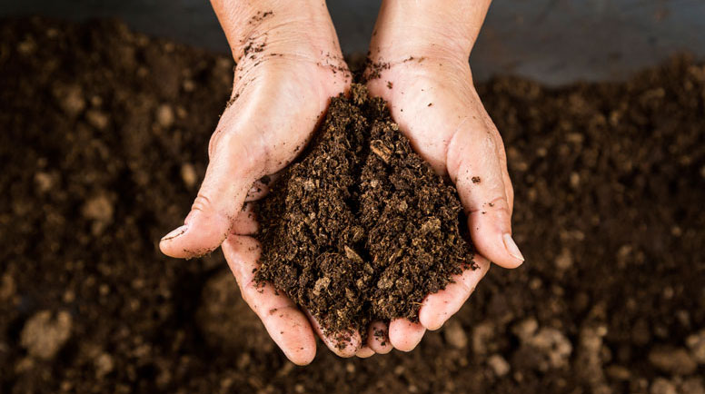 World Potting Soil Market Trends, Size, Growth and 2025 Future Insights
