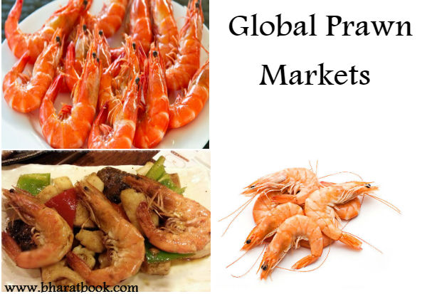 Global Prawn Market Industry Trends, Share, Size, Growth, Opportunity and Forecast 2017-2022