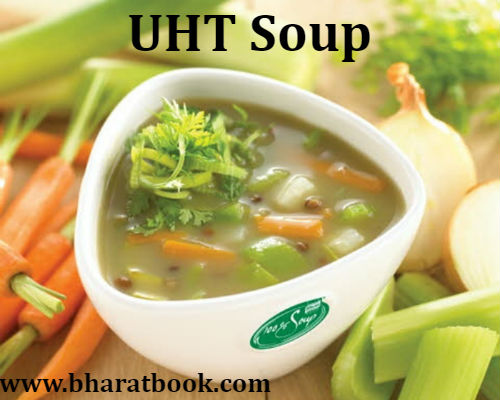 UHT Soup (Soups) Market in the United States of America Analytics by Category & Cost Type to 2021