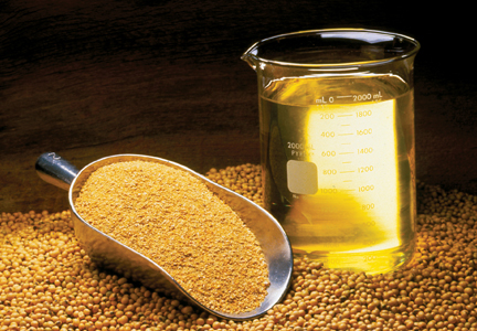 Epoxidized Soybean Oil Market Manufacturers, Growth Driver, Regional Outlook and Forecast to 2025
