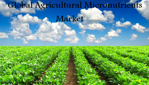 Global Agricultural Micronutrients Market to Grow at a CAGR Of 9.17% during the period 2017 - 2025