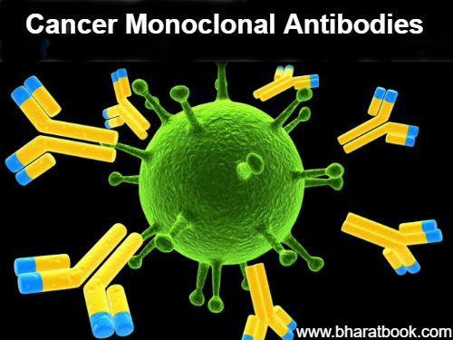 Global Cancer Monoclonal Antibodies Market | Analysis, Risk Factors, Growth Strategies, Drivers, Dynamics and Forecast - 2023