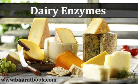 Global Dairy Enzymes Market Analytics by Category & Cost Type to 2022