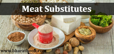 Global Meat Substitutes Market : Scenario, Size, Outlook, Trend and Forecast, 2023