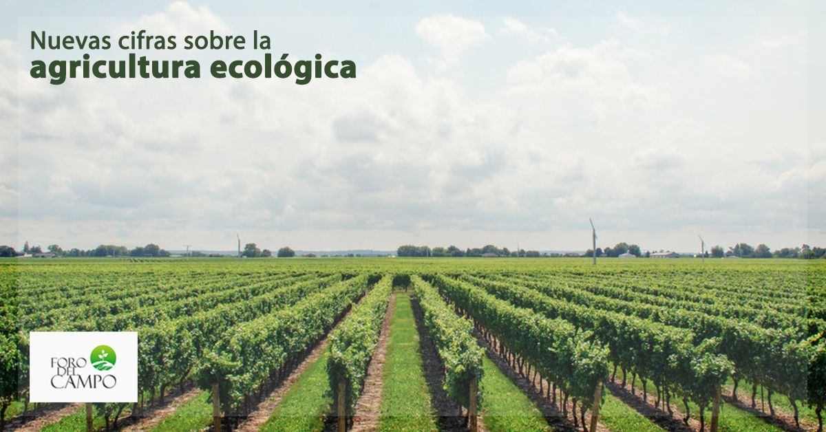 El informe sobre la Producción Ecológica 2018-2020, tema a debatir en Foro del Campo