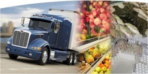 Asia-Pacific Food Cold Chain Market Report 2017 -Planet Market Reports