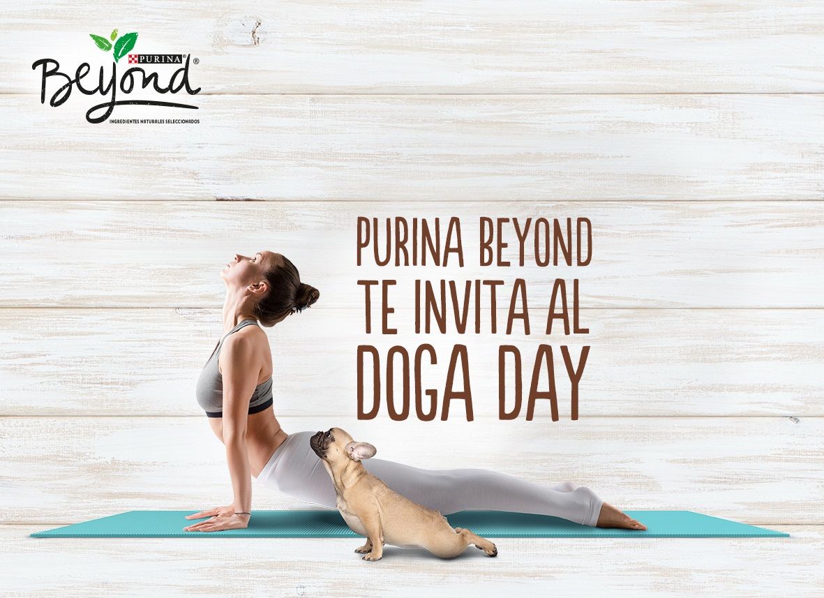 Purina Beyond organiza la mayor Master Class de yoga con perros de España