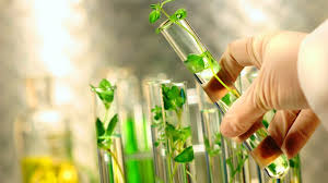 Research On Separation Systems For Commercial Biotechnology Market Report 2017 to 2024