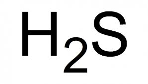 Hydrogen Sulfide Market Global Industry Growth, Trend, Analysis, Share and Forecast to 2025 Research Report