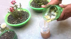 Liquid Organic Fertilizer Market- Industry Size, Share, Growth, Trend and 2025 Forecast Analysis