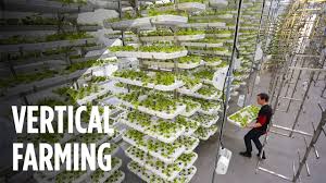 Vertical Farming Market-Industry Size, Share and Growth Factor Analysis Research Report 2025