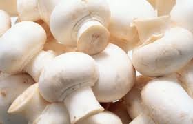 Frozen Mushrooms Industry-Market Growth, Size, Demand, Trends and Forecast 2025