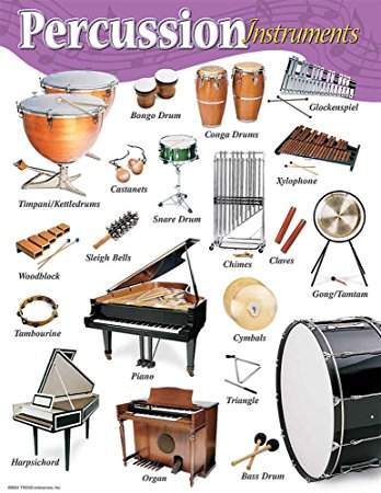Percussion Industry Global Market Size, Growth, Trends, Share and 2025 Forecasts Report