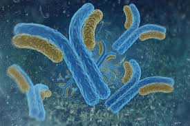 Antibodies Market Share, Industry Growth, Trend, Top Key Players and Research Report 2018-2023