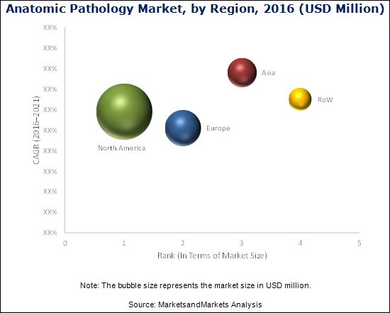 Anatomic Pathology Market by Product and Service