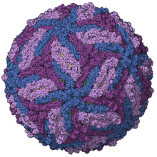 Zika Virus Market Regional and End Use Analysis with Applications (Hospitals, Clinics)