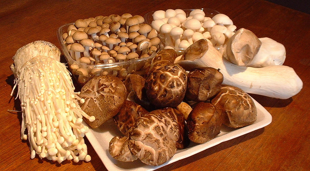 King Oyster Mushroom Market Segmented by Strategic Alliances, Applications and Forecast to 2025