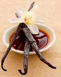 Vanilla Beans and Extract Market 2019 Size, Share, Growth, Trend, Industry Analysis and 2025 Forecast