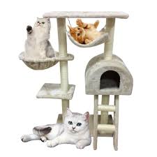 Cat Climbing Frame Industry Share, Market Trend, Growth, Top Key Players and Research Report 2023