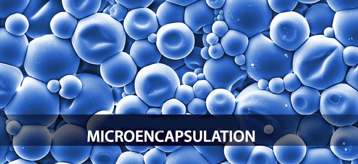 Global Microencapsulation Market 2019 by Application (Food Ingredients/Pharmaceutical), Process, New Technology, Growing Demand by Top Suppliers Forecast till 2025