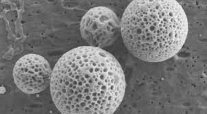 Global Nanoencapsulation Market | Industry Outlook Research Report 2018-2025 By DecisionDatabases
